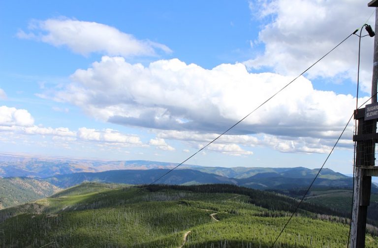 680 meter JPole Jr 34 foot end fed HF antenna Alpha Antenna